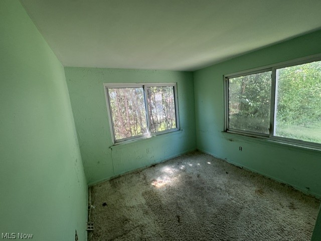 19205 Arrowhead Avenue Cleveland OH 44119