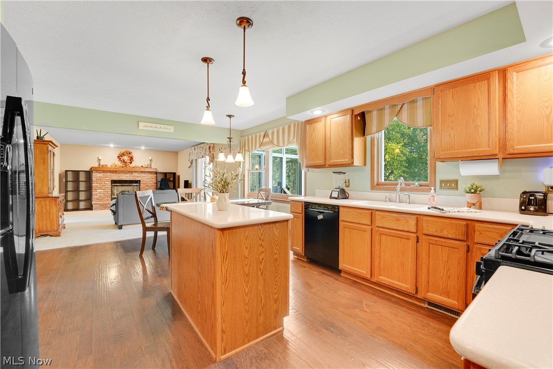 6800 Georgetown Drive Mentor OH 44060