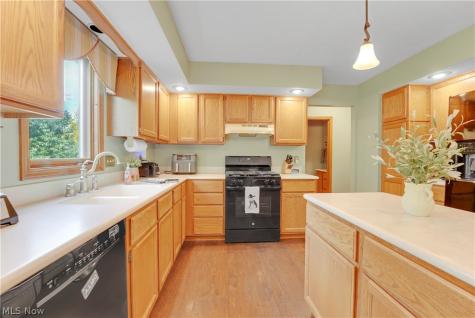 6800 Georgetown Drive Mentor OH 44060