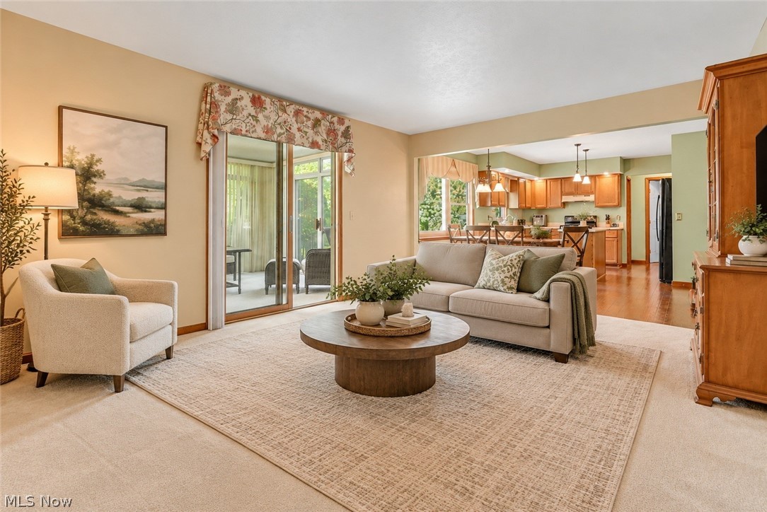 6800 Georgetown Drive Mentor OH 44060