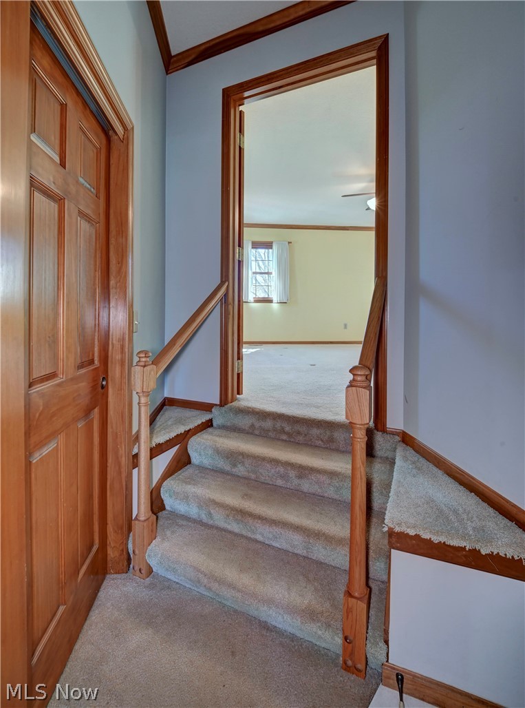 29100 Flat Run Road Danville OH 43014