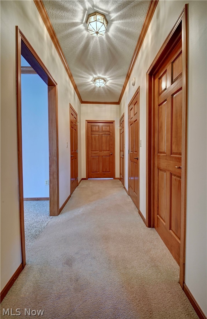 29100 Flat Run Road Danville OH 43014