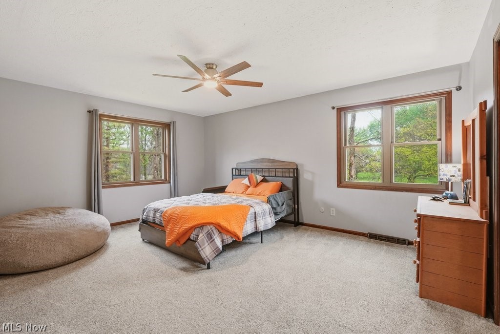7308 Arborwood Drive Hudson OH 44236