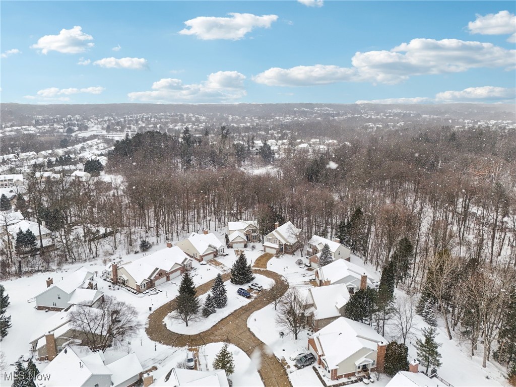 8683 Pine Creek Lane Northfield OH 44067