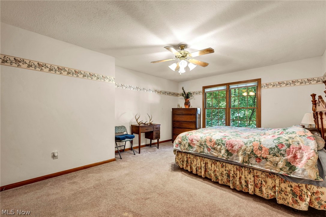 9716 N Avon Belden Road Grafton OH 44044