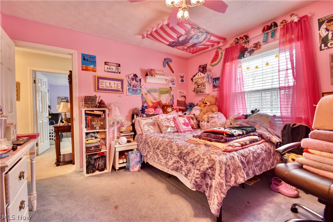 9360 Sunrise Court Mentor OH 44060
