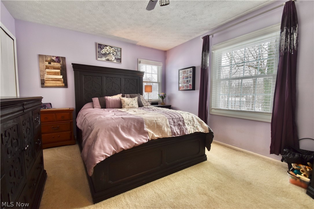 9360 Sunrise Court Mentor OH 44060