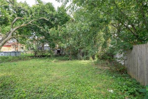 156 Colony Crescent Akron OH 44305