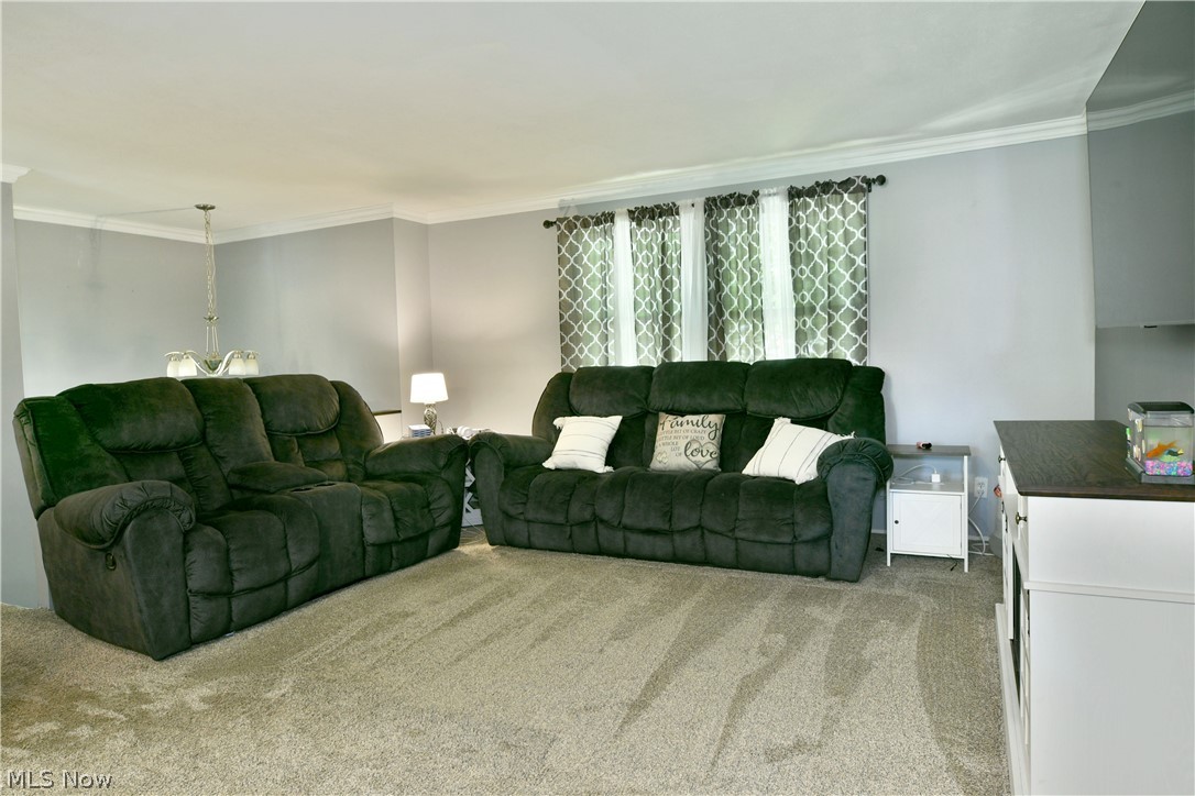 3710 Bellwood Drive SE Warren OH 44484