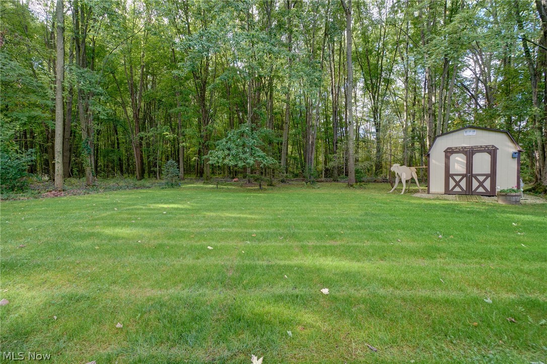111 Squires Court South Amherst OH 44001