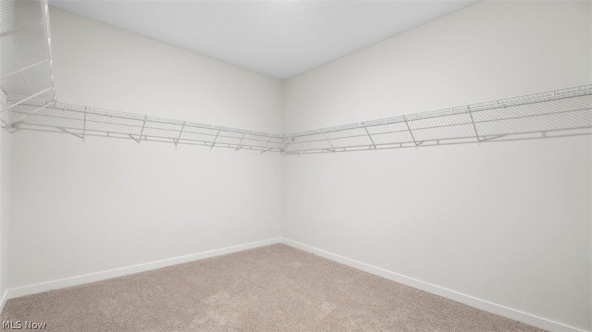 113 Fippenny Place Mount Vernon OH 43050