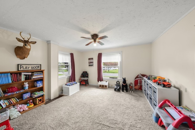 6175 Downs Road NW Warren OH 44481