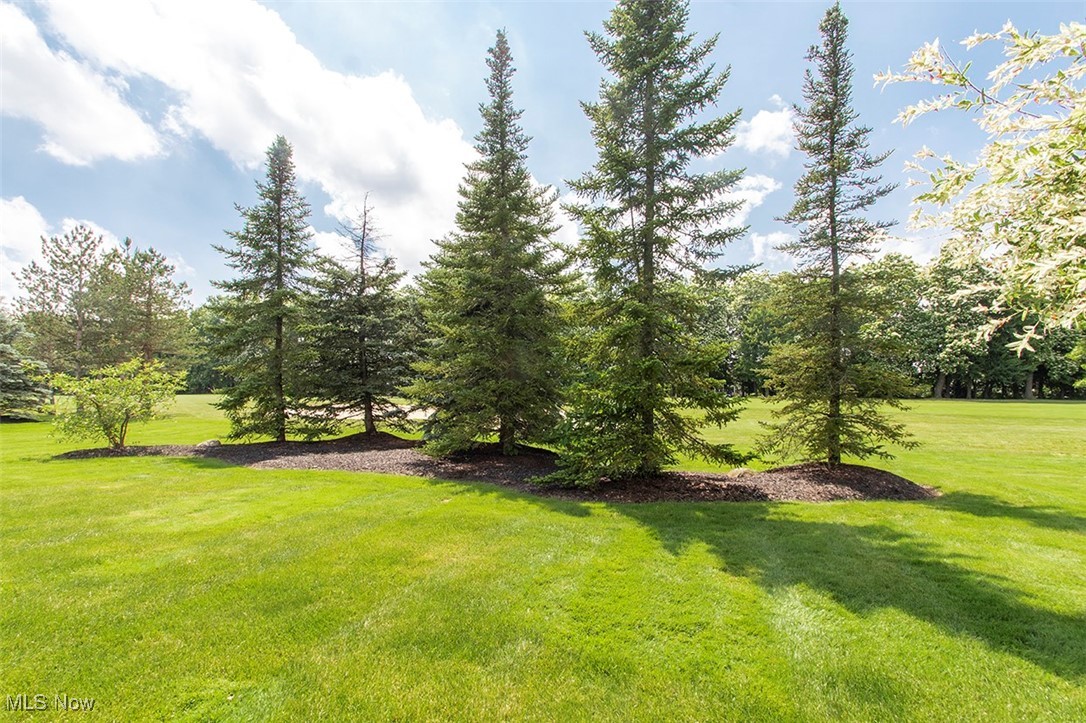 6576 Torington Drive Medina OH 44256