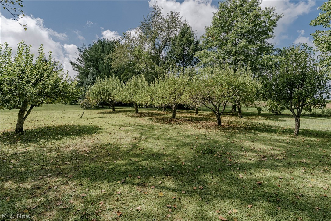 6241 Streeter Road Mantua OH 44255