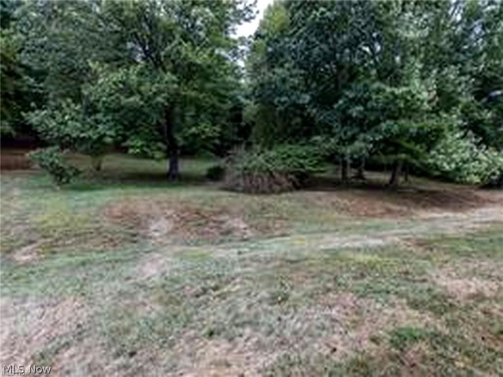 1715 Brandon Drive Wellsville OH 43968