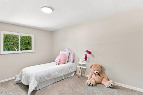 6126 Park Ridge Drive North Olmsted OH 44070