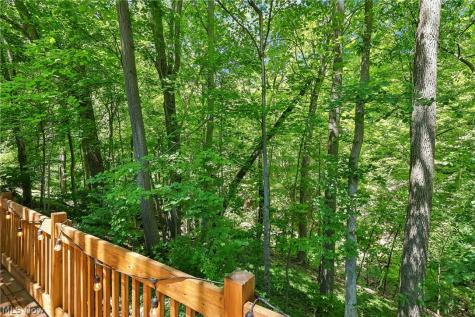 1593 Kingsley Avenue Akron OH 44313