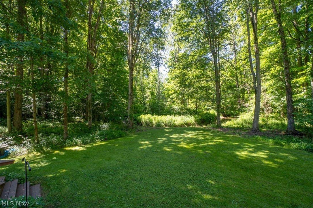 8215 Whispering Pines Drive Novelty OH 44072