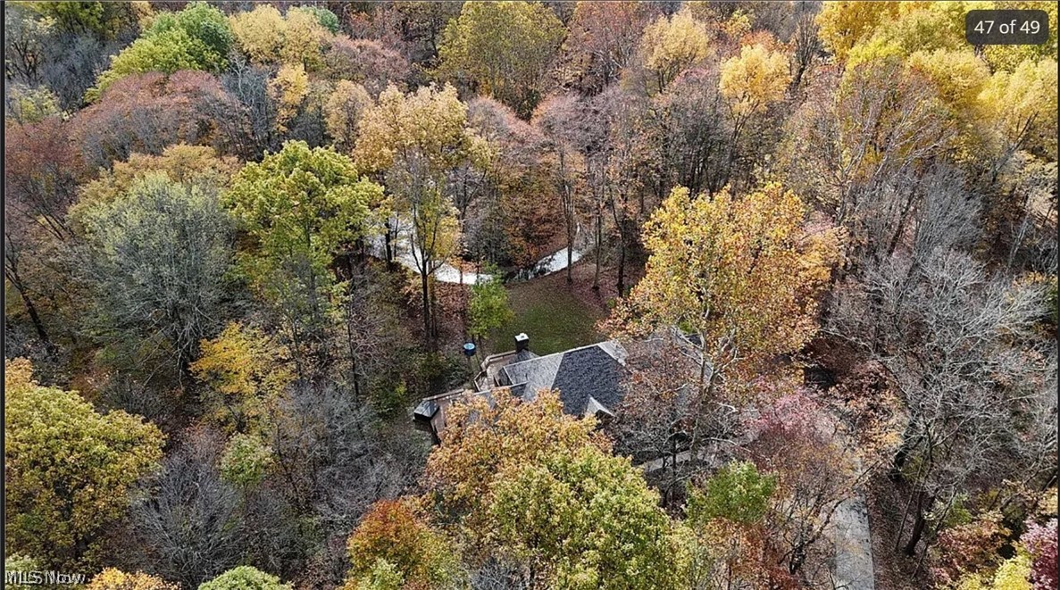 8215 Whispering Pines Drive Novelty OH 44072