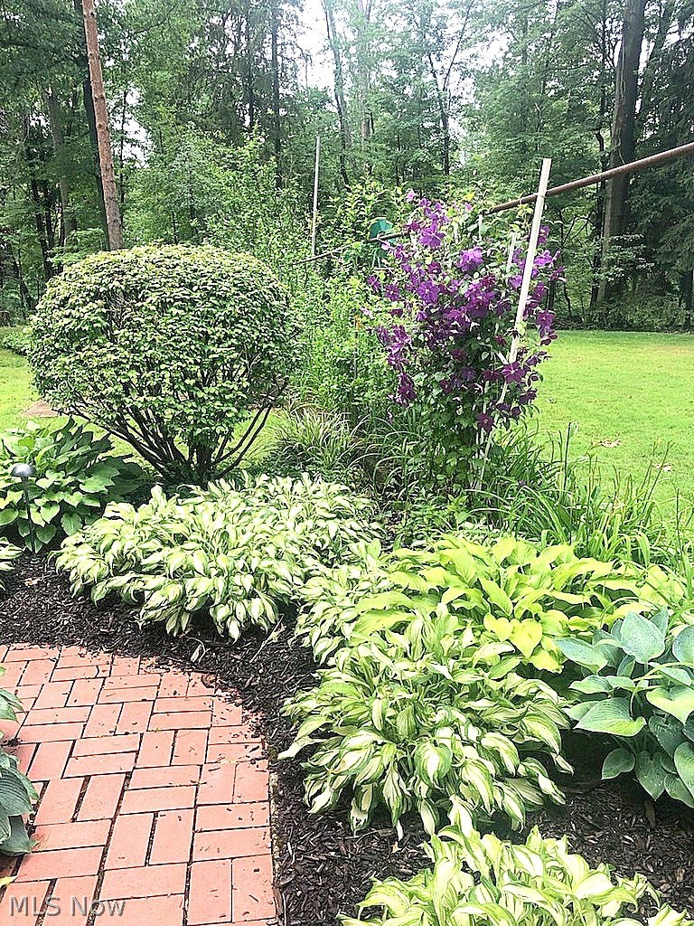 6958 Chapel Hill Drive Brecksville OH 44141