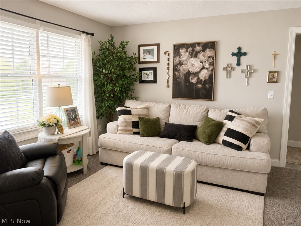 4495 Bella Jean Canfield OH 44406