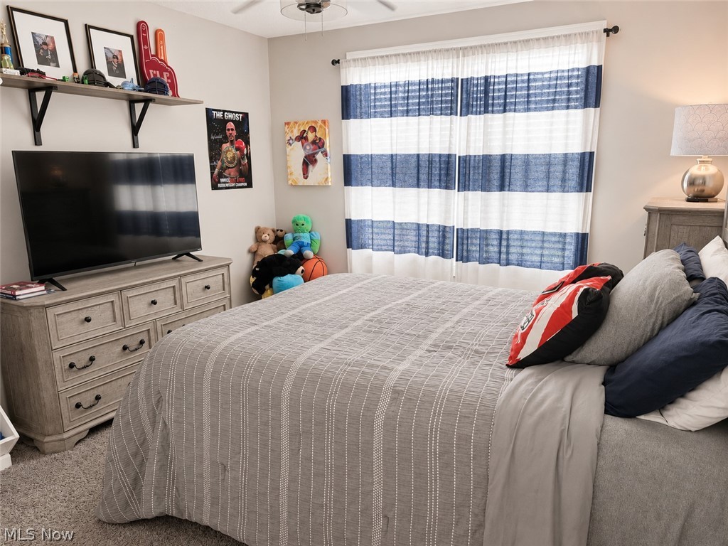 4495 Bella Jean Canfield OH 44406