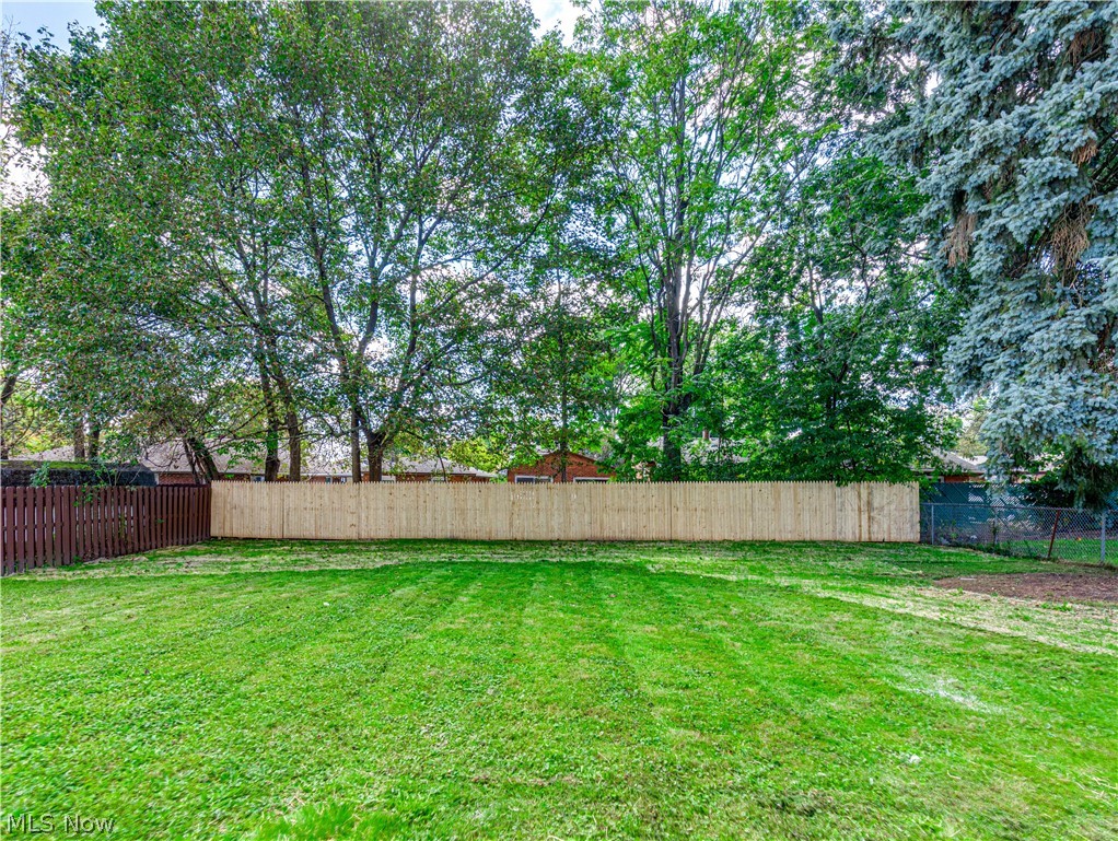 1064 Ray Street Akron OH 44306