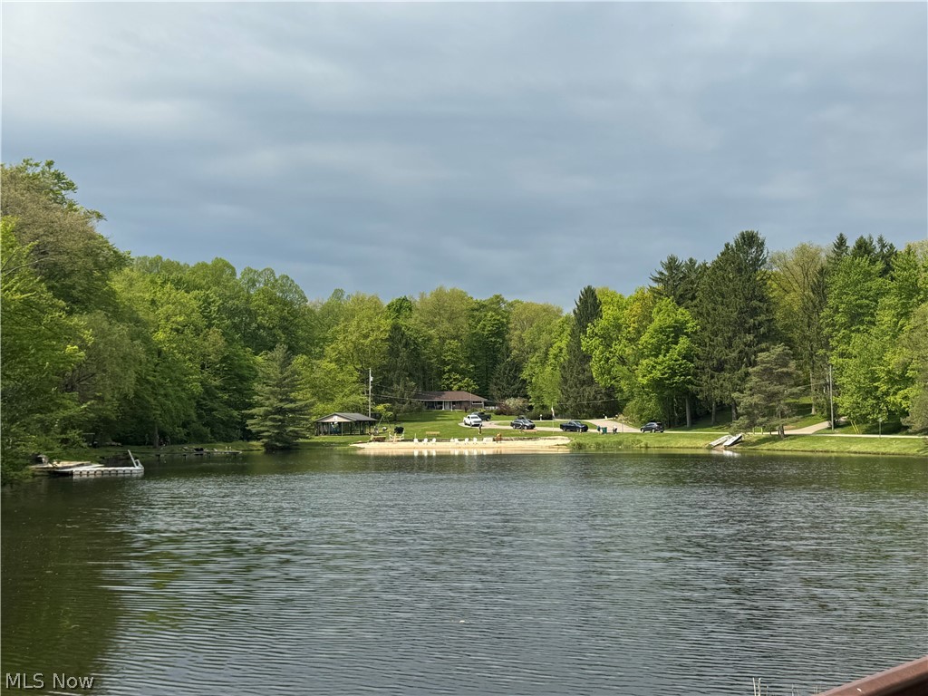 111 Leaview Lane Chagrin Falls OH 44022