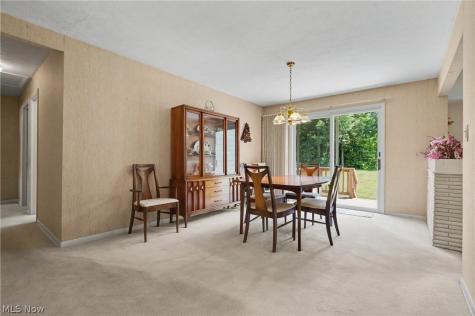 1380 Romane Drive Northfield OH 44067