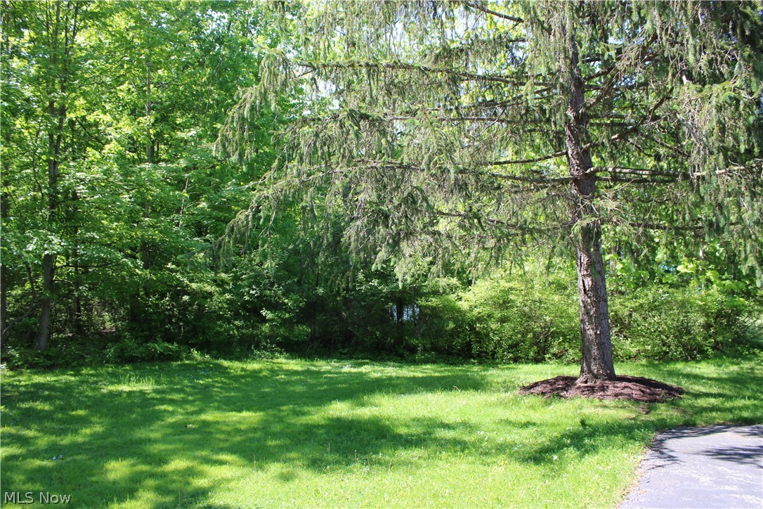 13041 Dorothy Drive Chesterland OH 44026