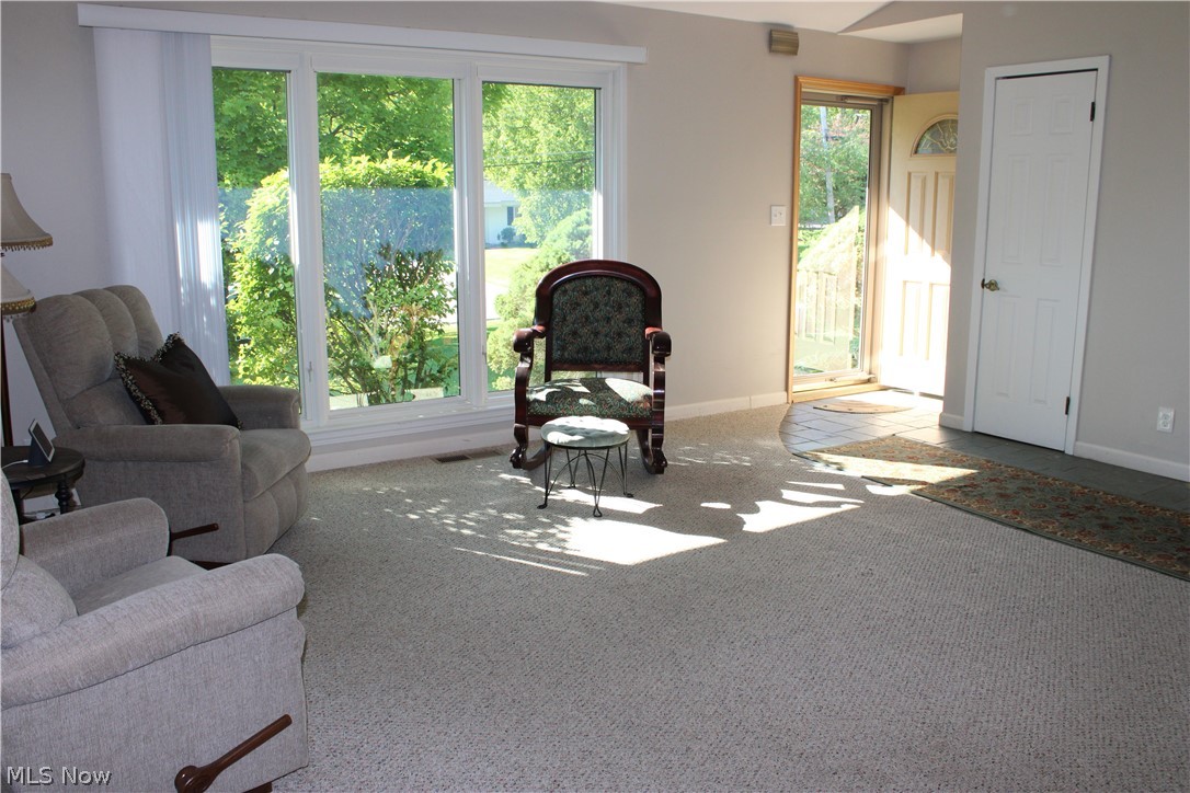 13041 Dorothy Drive Chesterland OH 44026