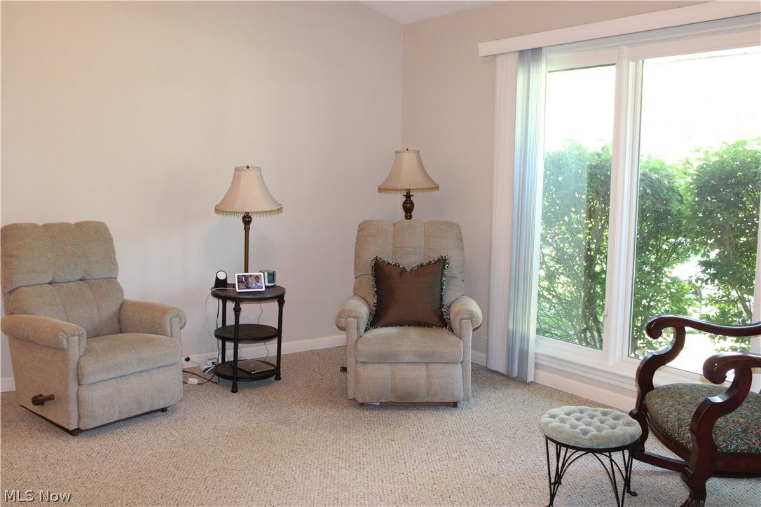 13041 Dorothy Drive Chesterland OH 44026