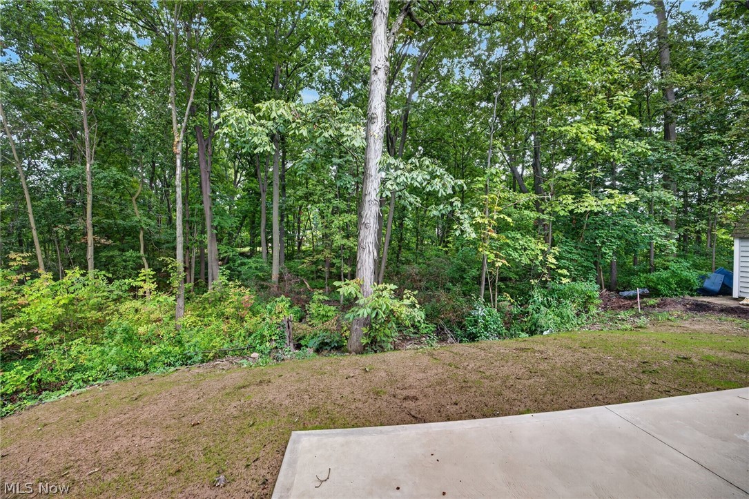 9953 Aldridge Avenue Columbia Station OH 44028
