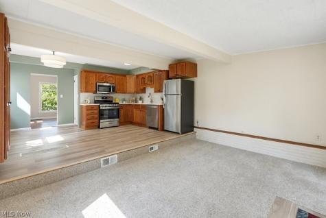 1243 Woodward Avenue Akron OH 44310
