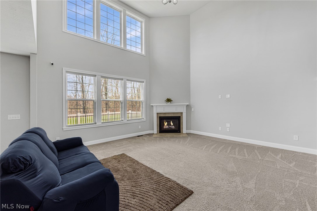 10206 Woodlands Drive Brecksville OH 44141
