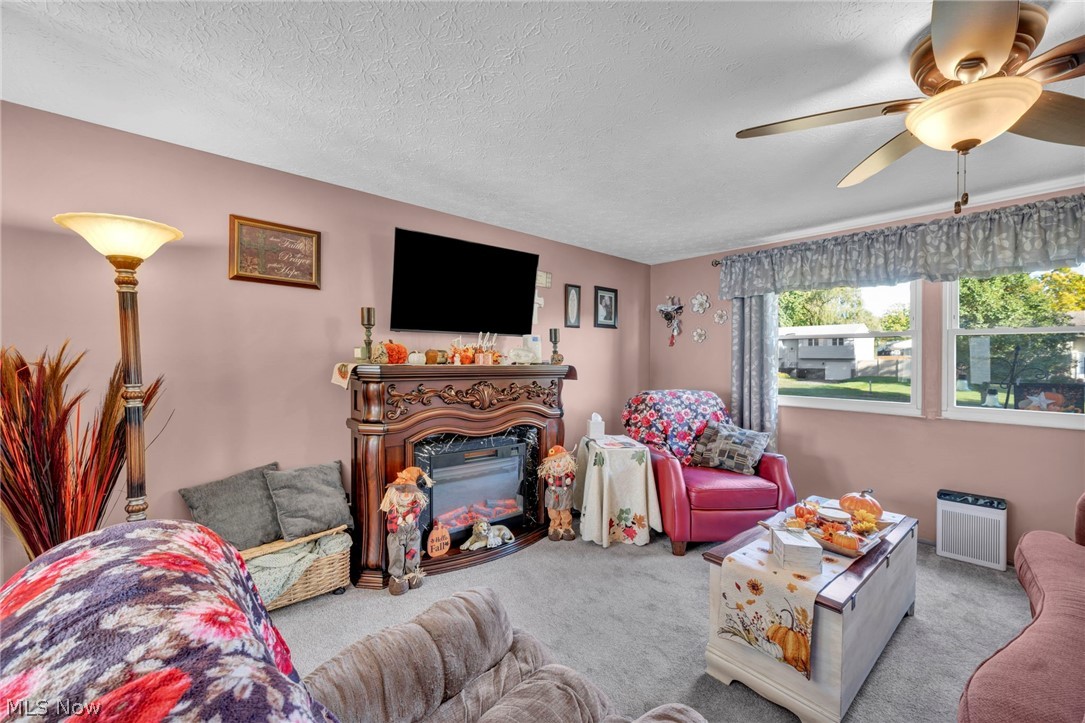 702 Oberlin Place Austintown OH 44515