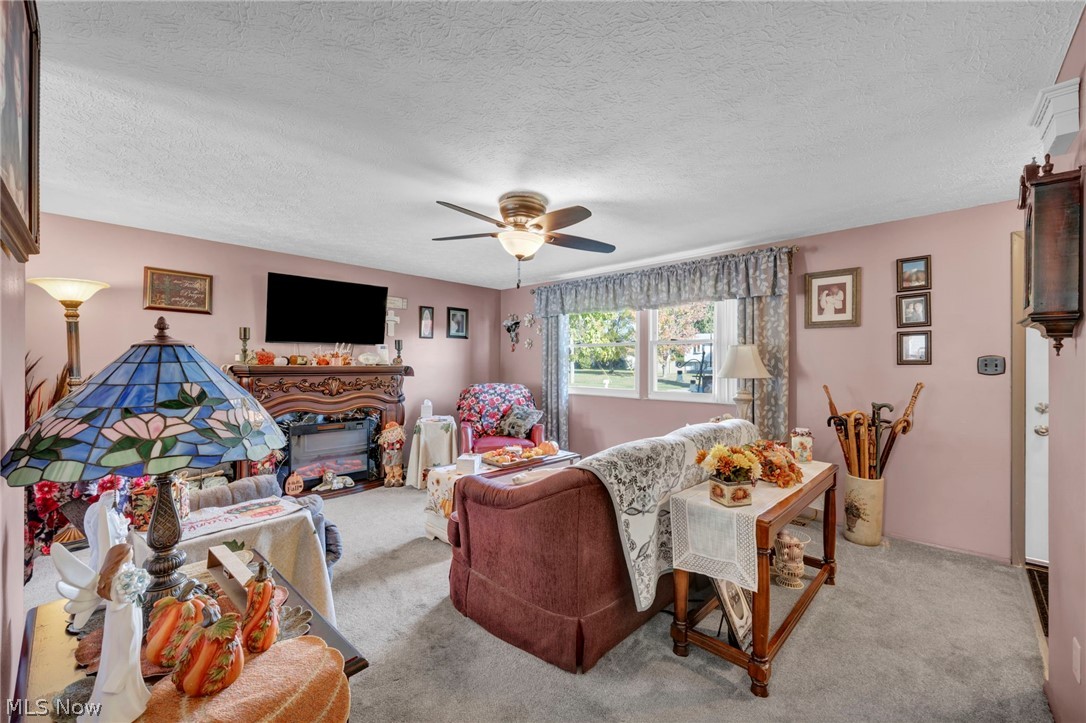 702 Oberlin Place Austintown OH 44515