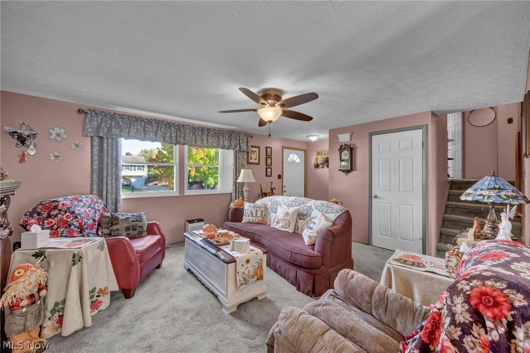 702 Oberlin Place Austintown OH 44515