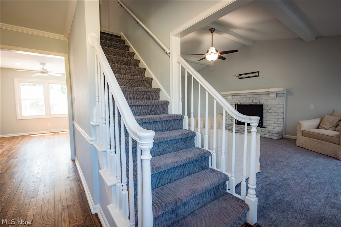 51 Sawmill Run Drive Canfield OH 44406