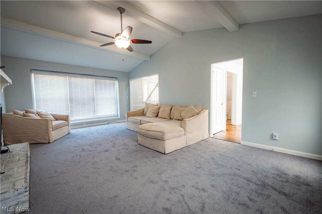 51 Sawmill Run Drive Canfield OH 44406