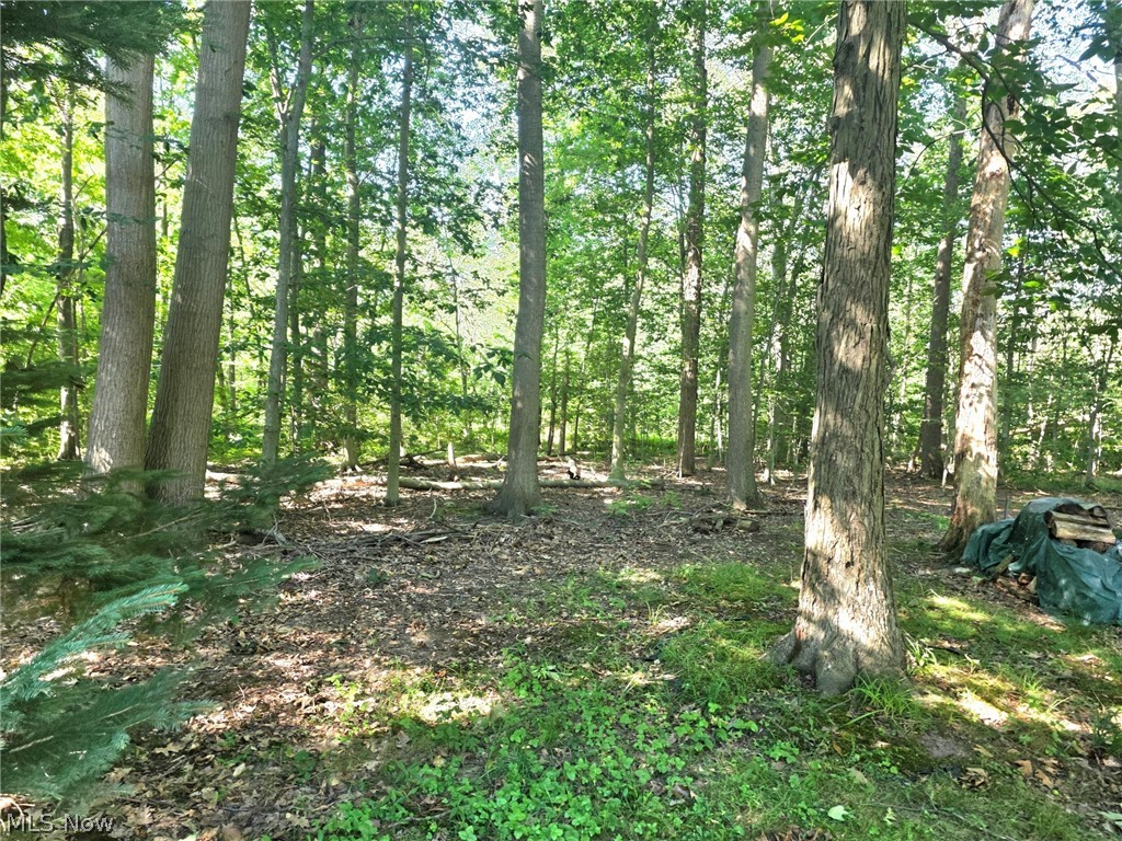 7415 Avon Lane Chesterland OH 44026