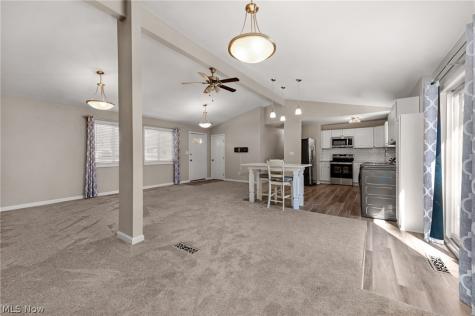 1487 Yale Drive Brunswick OH 44212