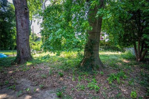 1290 E 188th Street Cleveland OH 44110