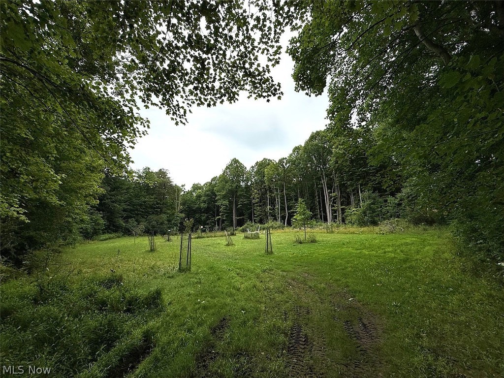 10990 Mayfield Road Chardon OH 44024