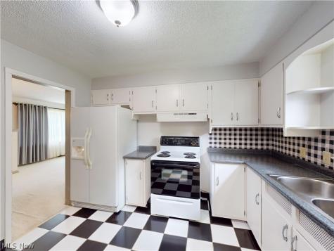 8249 Broadmoor Road Mentor OH 44060