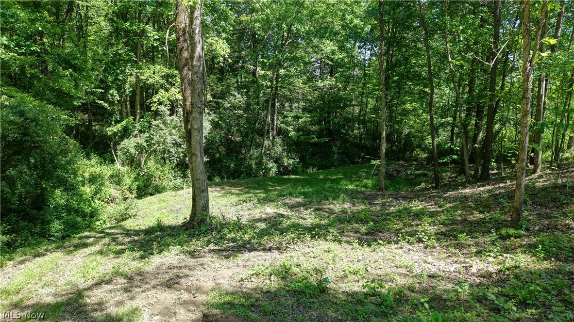 557 Beans Road SE Sherrodsville OH 44675