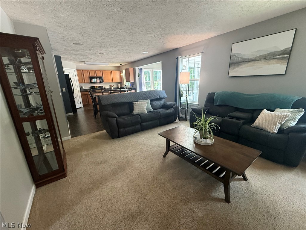 859 Arbor Trails Drive Macedonia OH 44056