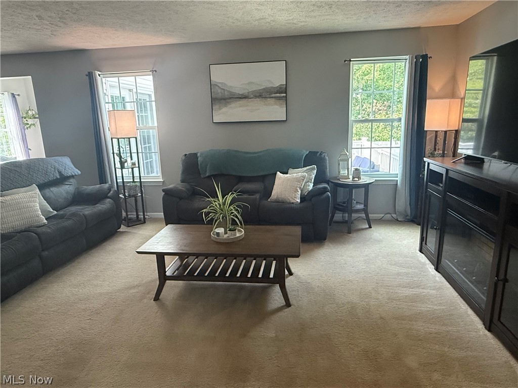 859 Arbor Trails Drive Macedonia OH 44056