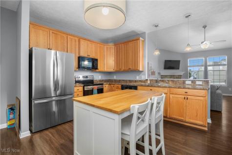 4201 Meadow Lark Drive Lorain OH 44053