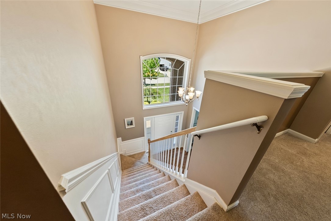 3976 Truxton Place Avon OH 44011